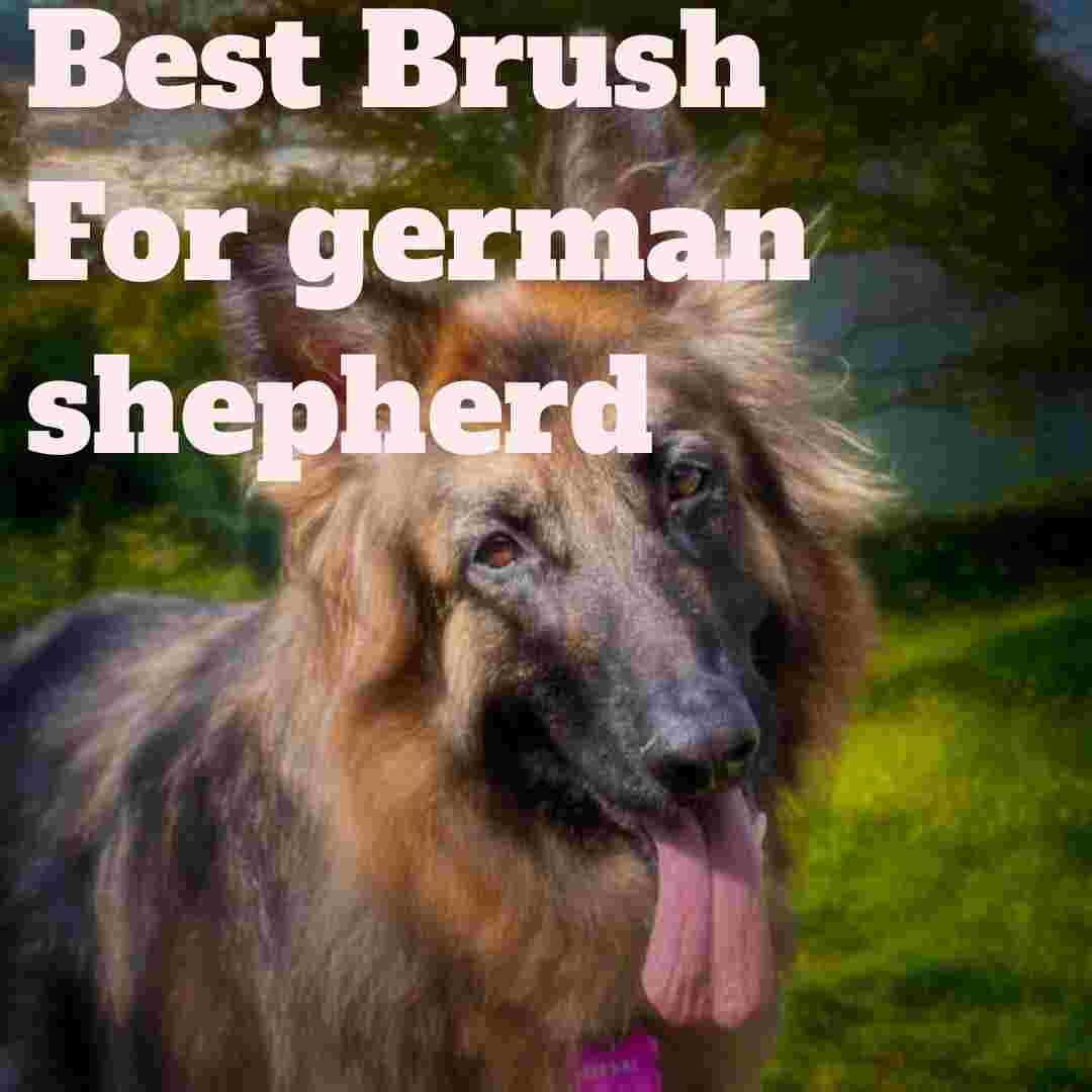 Best Brush For German Shepherd | German Shepherd Grooming Tips - POKYDOGS